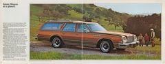 1978 Buick Full Size (Cdn)-06-07.jpg